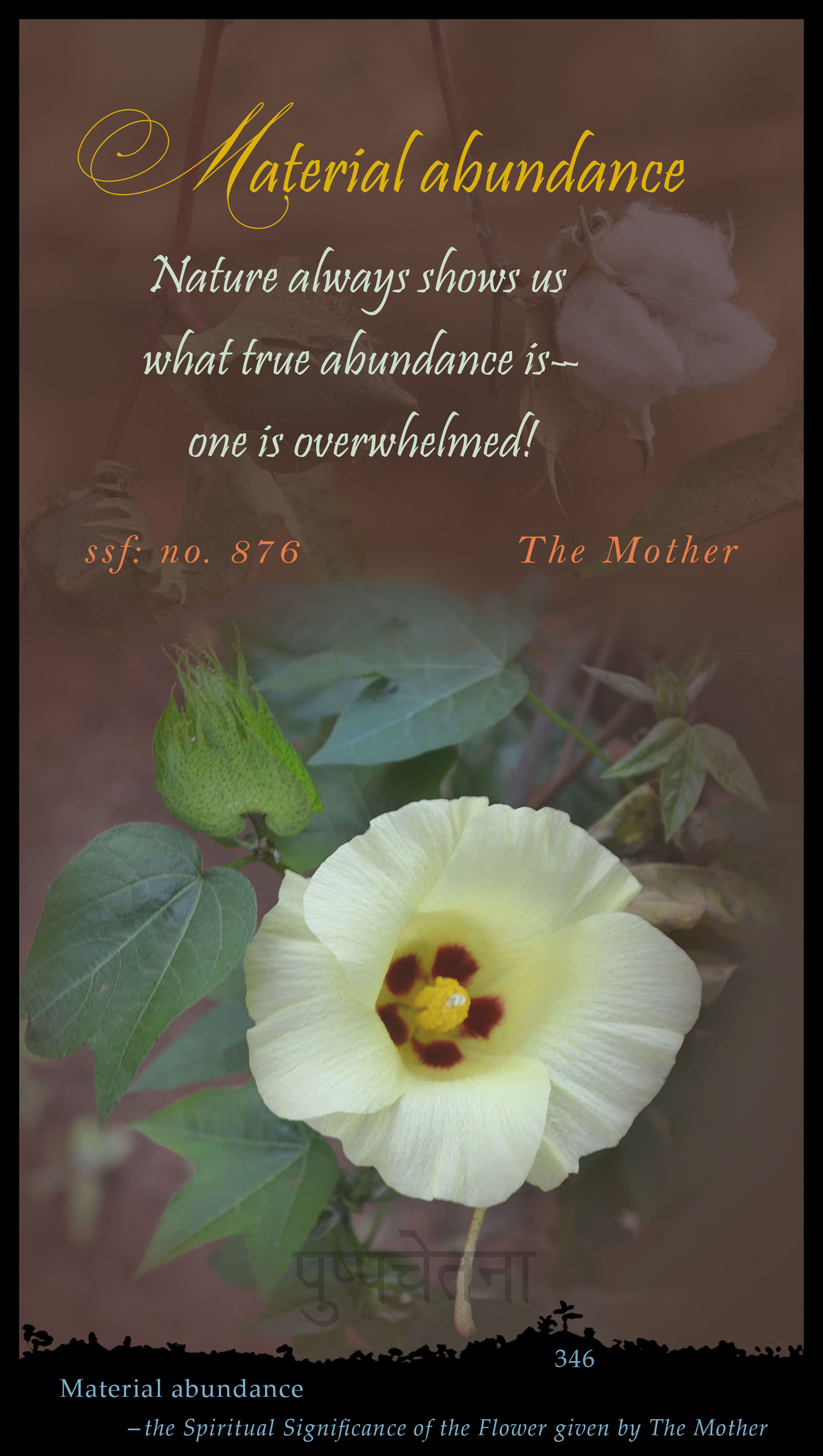 Material Abundance